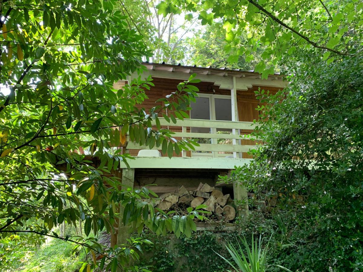 Chalet En Bord De Seine Villa Le Coudray-Montceaux Luaran gambar